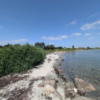 Malkning på en fræk uge 😀🤩hygge 💦🌹