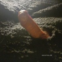 PASSIV FYR TILBYDER SIG TIL VELUDRUSTEDE AFRIKANSKE, OG AKTIVE FYRE ,OGSÅ GERNE FLERE , SAMT DOBBELT DICKS ,TILBYDER OGSÅ EROTISK MASSAGE ,SAMT OVERNATNING MED SE