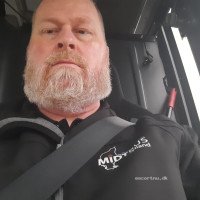Bifyr søger pik