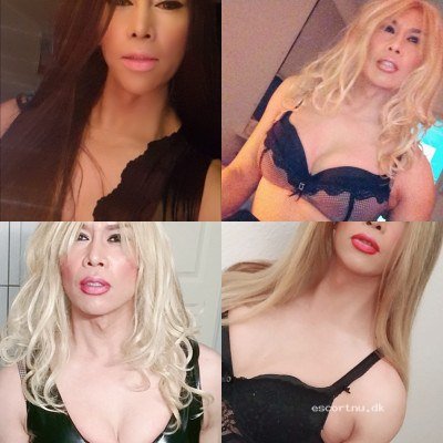 KOLDING NYHED TRANSVESTIT SARA. SKØNHED, SUPERSEXY MED UNGPIGEBRYSTER. LAKTØJSFANTASIER.K