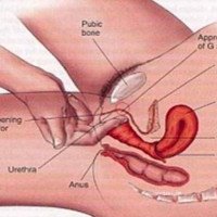 TANTRA YONI MASSAGE - 1 hour free to try🔥