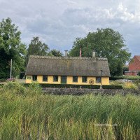 Sød transkønnet person fra Rødovre nær Damhuskroen giver Erotisk Massage + Blid Sex 🫦 Kh Maria