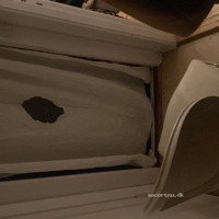 Cumslut swallow