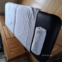 Massage Hundige