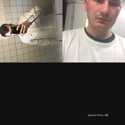 søger sex