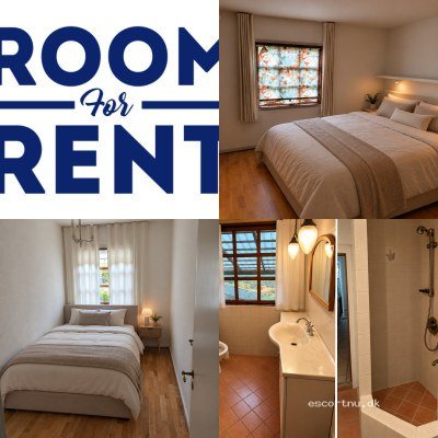 House for rent