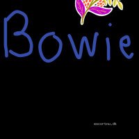 🌺Bowie 🌺 Kom til mig og får Tantra og oil massage i Kolding ,Vejle, og Fredericia og Vejen og Esbjerg og Middelfart og Odense🚗🚗 🚗køre escort i det er området💒🏩🏩.