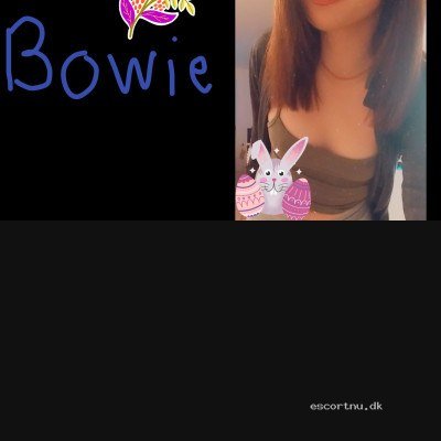 🌺Bowie 🌺 tilbyder Tantra og oil massage i Odense, Kolding ,Vejle, og Fredericia og Vejen og Esbjerg og Middelfart🚗🚗 køre escort i det er området🏩🏩.