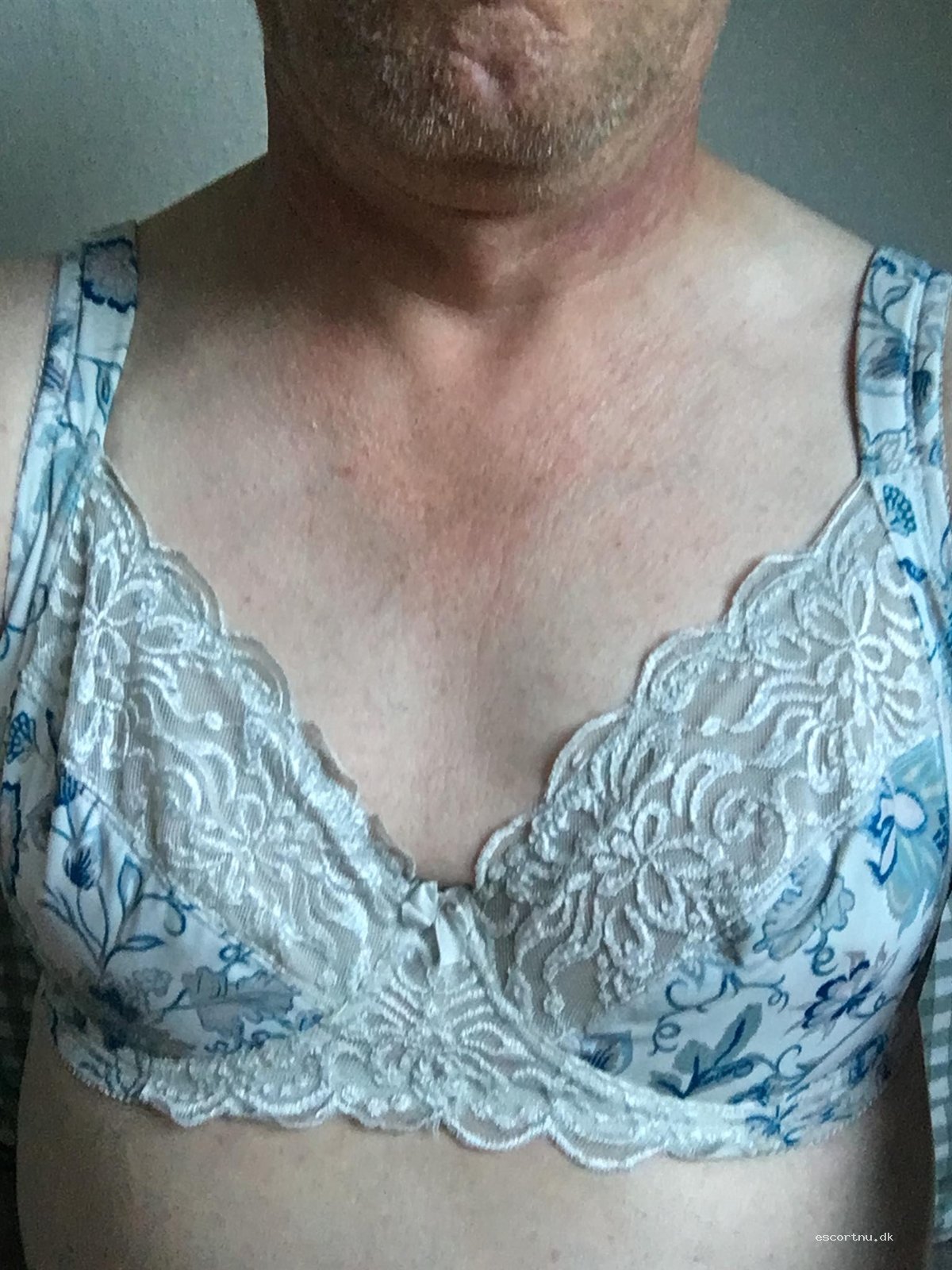 Transvisit