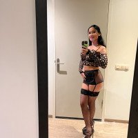 Beatris PartyGirl Escort New In Town