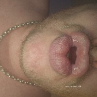 GAY Piksulten Passiv Sub KOLDING