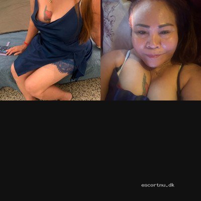 Brandevej 20 Nørre Snede
