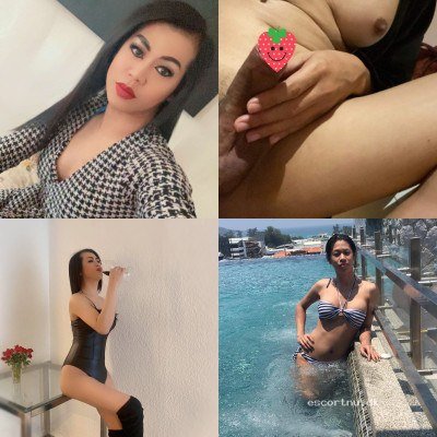 AALBORG few days 🍑🍆Polla Sexy and Horny ladyboy🍆💦Trans,lady boy from thailand 🇹🇭Come try new experiences with me🍑🍆💦