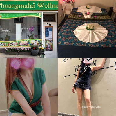 ♥️Phuangmalai wellness🇹🇭 Aarhus C Thai massage🌺