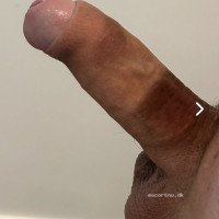Spermdonor or Bull for couple
